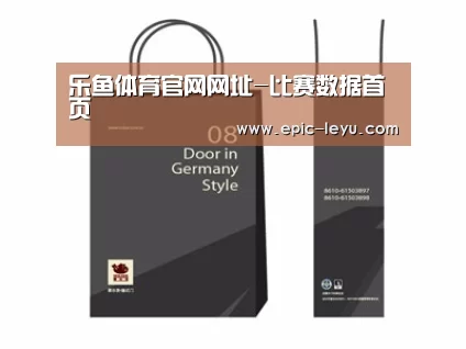 项目名称十四