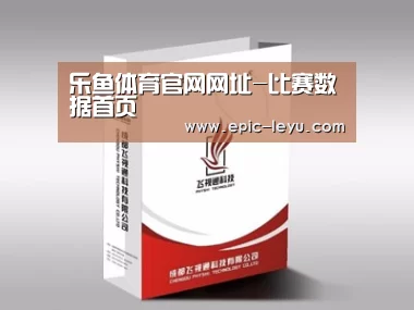 项目名称十三