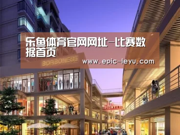 案例展示一