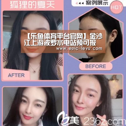 【乐鱼体育平台官网】金沙江上游波罗水电站预可报告通过审查(图4) 乐鱼官方网站地址
